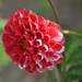 055