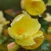 033