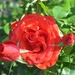 045