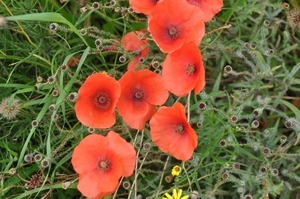 056