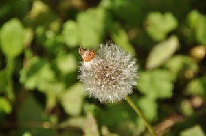 039