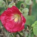 060
