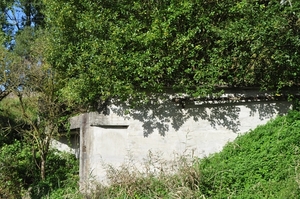 010