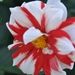 083