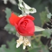 040