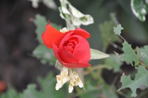 040