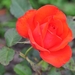 041