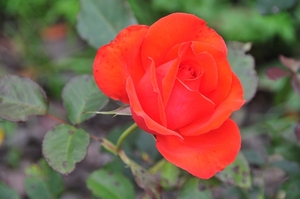 041