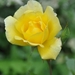 042