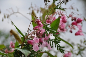 055