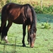 001 GENIETEN VAN ONS ;EIGEN; NATUURLANDSCHAP!