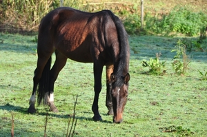 001 GENIETEN VAN ONS ;EIGEN; NATUURLANDSCHAP!