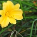 041