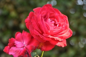 032