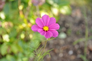 033