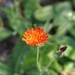 055