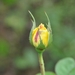 018