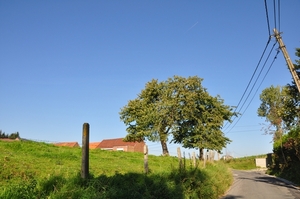 050