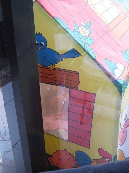 17) Jana in dromenland