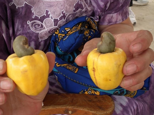 dageel is een vrucht eet er niet van en je bent stipel zat de kin