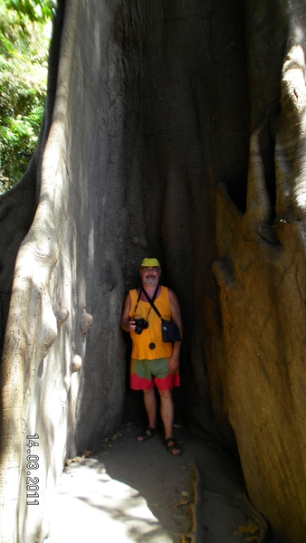 Hier mijn vriend bij een dikke boom