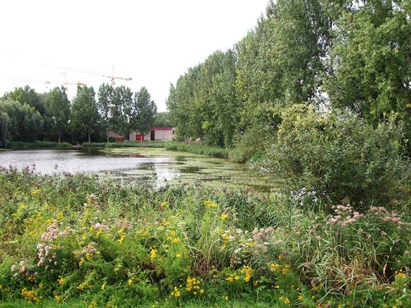 20-