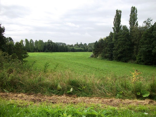 26-