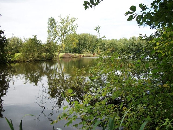 70-Natuurgebied met vijvers-Hamme