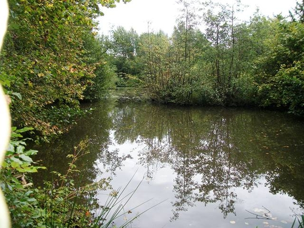 73-Natuurgebied met vijvers-Hamme