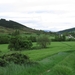 camino 2006 040