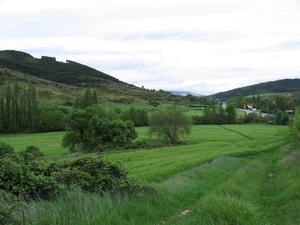 camino 2006 040