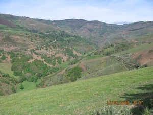 camino 2006 375