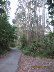 camino 2006 422