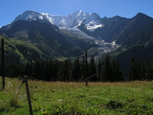 Bionnasy Vorza (13)