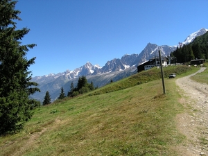 Bionnasy Vorza (17)