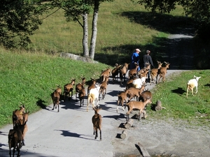 Bionnasy Vorza (2)