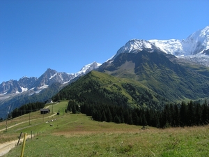 Bionnasy Vorza (20)
