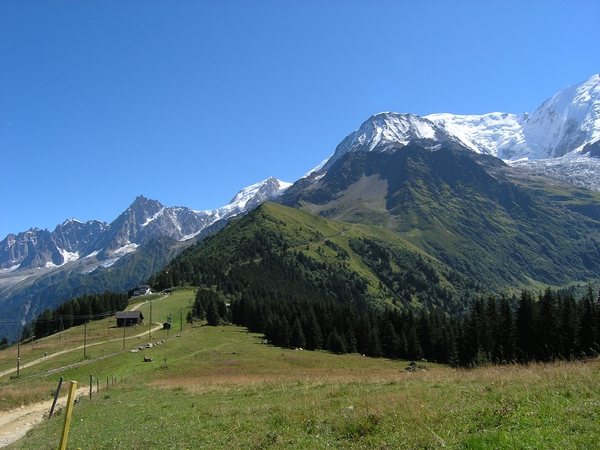 Bionnasy Vorza (20)