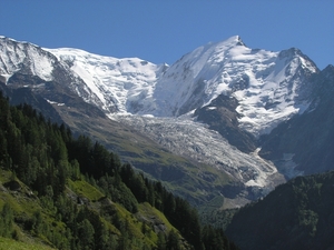 Bionnasy Vorza (25)