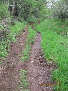 viapodiensis2007 030