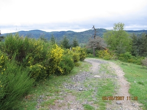 viapodiensis2007 042