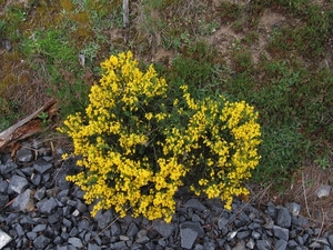 viapodiensis2007 082