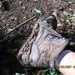 viapodiensis2007 297