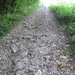 Via Gebennensis 2007 042