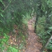 Via Gebennensis 2007 121