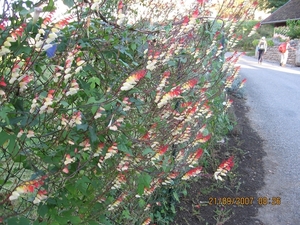 Via Gebennensis 2007 174