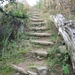 Via Gebennensis 2007 248