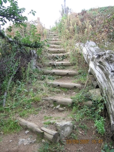 Via Gebennensis 2007 248