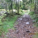 Via Gebennensis 2007 304