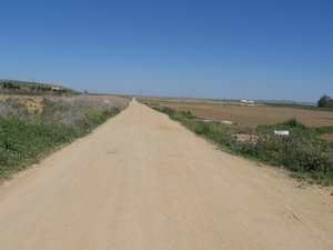 Ruta de la Plata 1 043